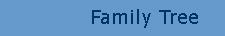 skedsmo-homepage-family-tree.jpg - 13416 Bytes