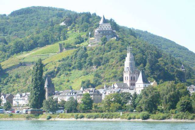 steep-vineyard-in-rheingau-region