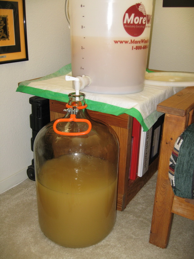 wine-making-procedure-018.jpg - 170678 Bytes